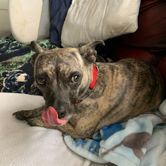 Meet your Posher, Stephen - Picture 1 of 1